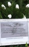 Tymczasem 