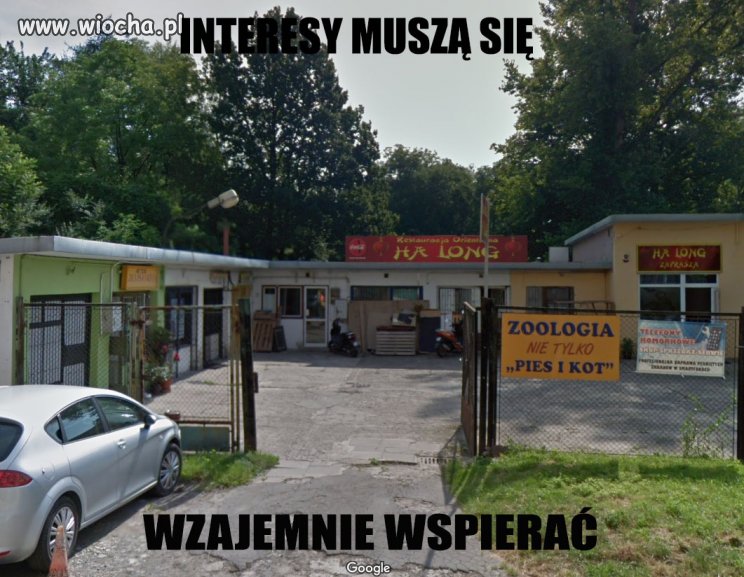 INTERESY