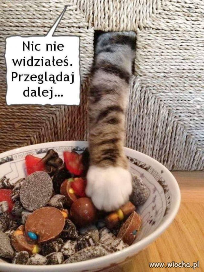 Kiedy żona jest na diecie.