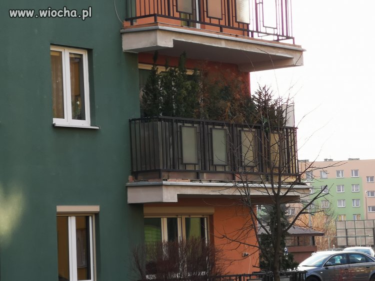 Kiedy od zawsze marzyłeś o zarośniętym ogrodzie...