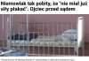 Obyś kwiczał w celi 