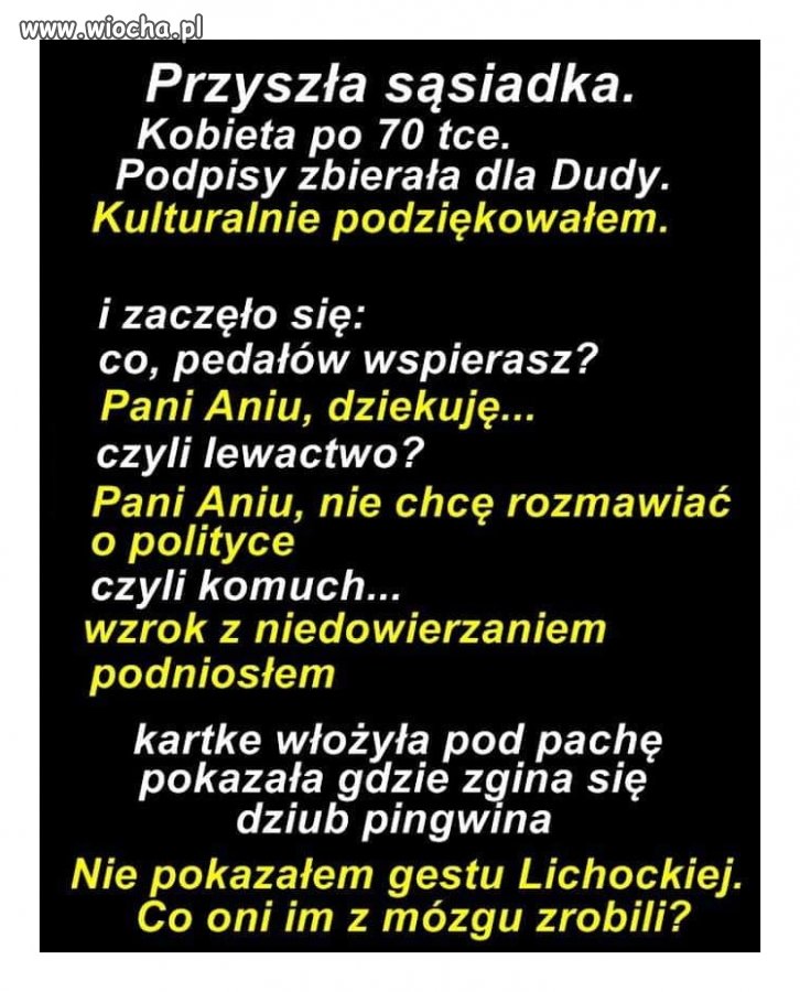 Kampania w toku