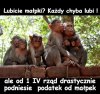 Nacieszcie się małpkami