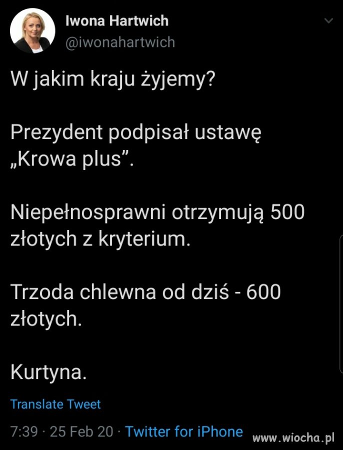 Krowa plus