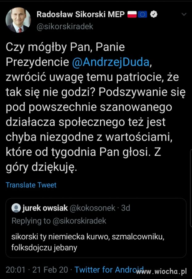 Polskie partioty w akcji