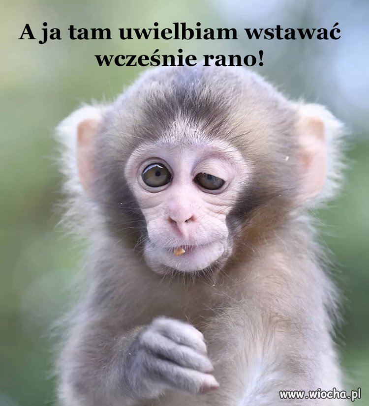 Poranne wstawanie.