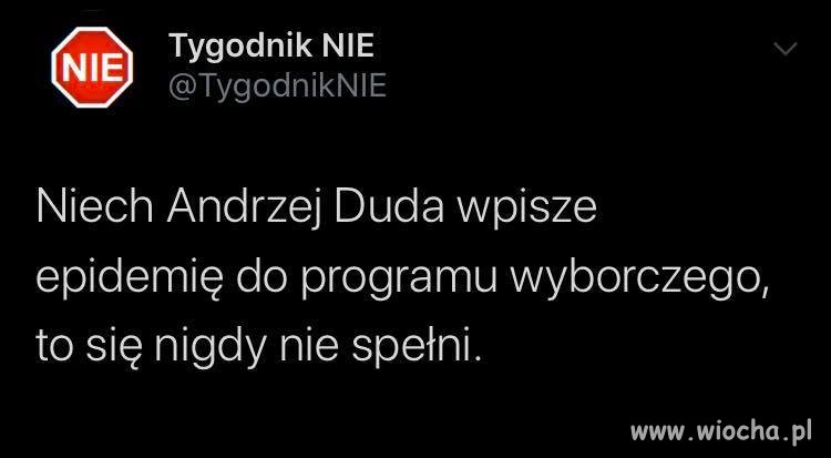 Najlepszy pomysł na koronavirusa w Polsce