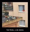 Ironia losu