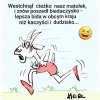 Lepsza bida 