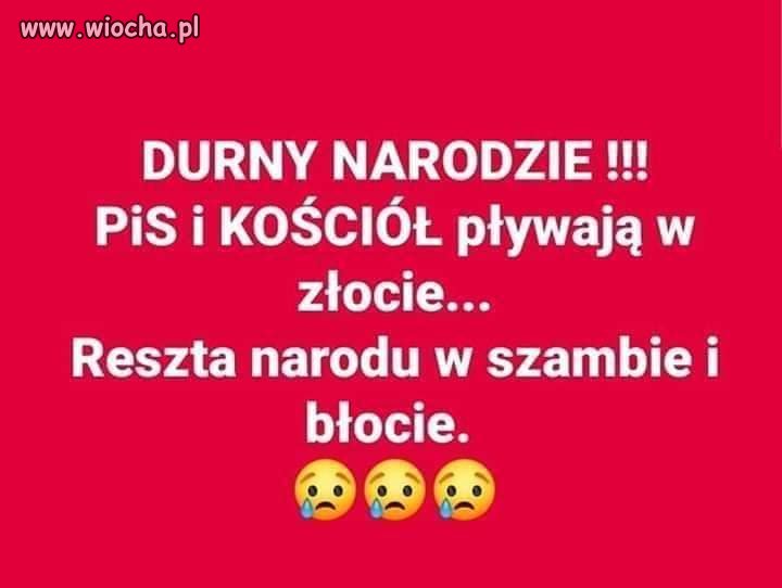 Pis podzielił wszystkich równo 