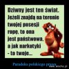  Takie jest Prawo .