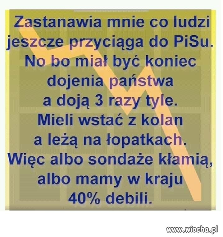 Tymczasem 