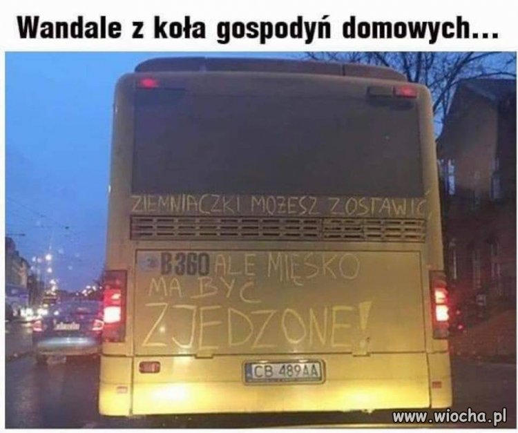 Tymczasem 