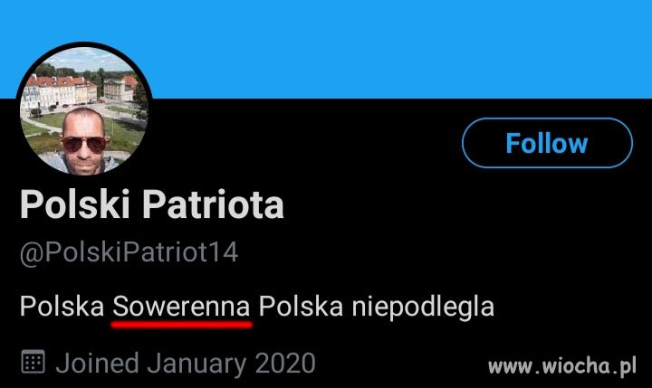 Polski idiota