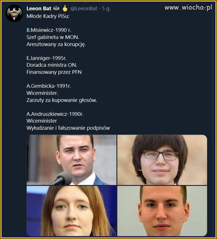Młode wilki 