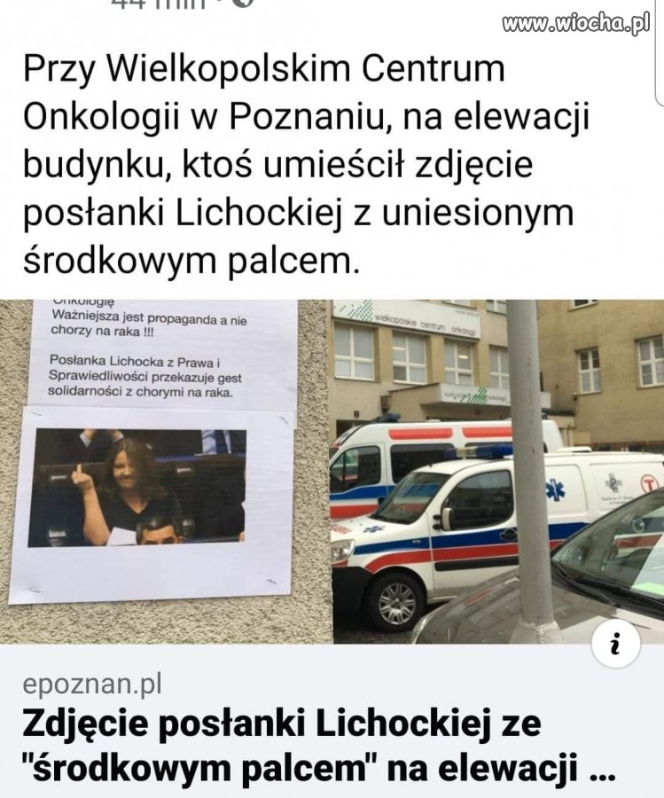 Jak posłanka 