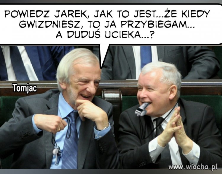 Rysio wierny pies