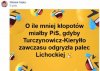 Coś kiepsko z tą strategią kaczego ...