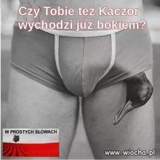 Nic dodać 