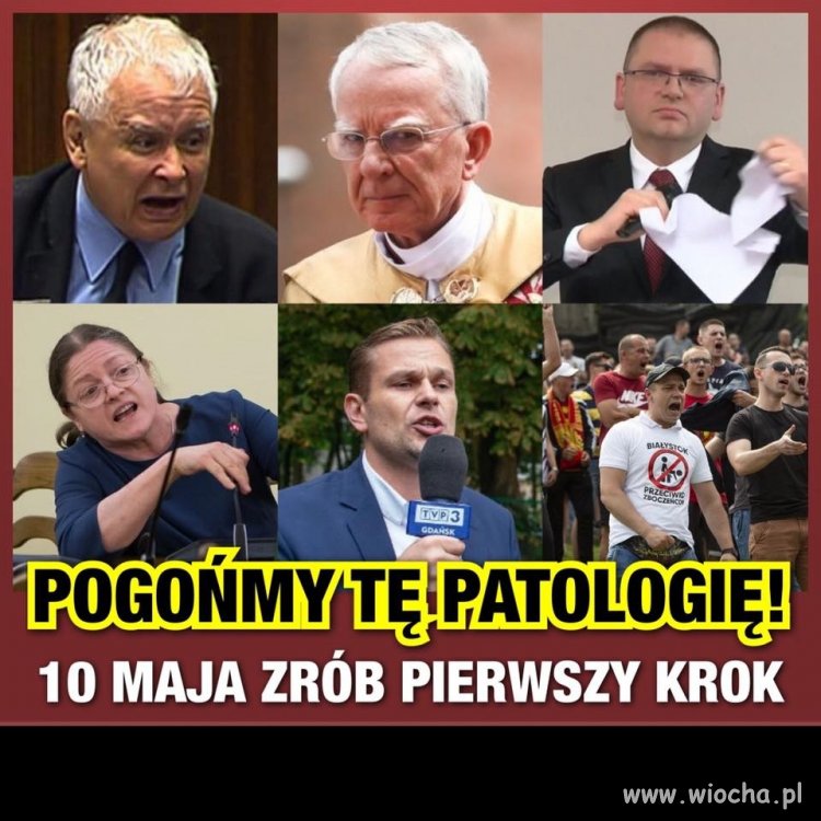 Hej kto Polak na wybory ...