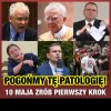 Hej kto Polak na wybory ...