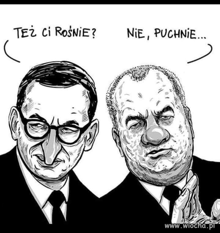 Polityka