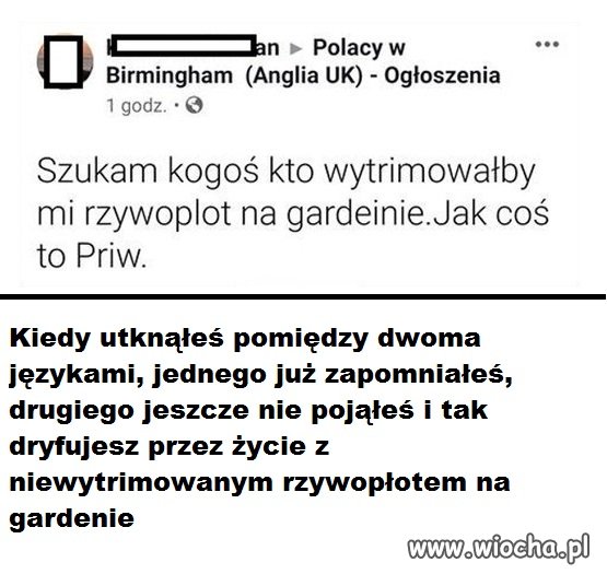 Polacy w UK