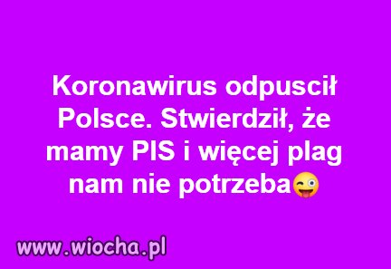 Szach...