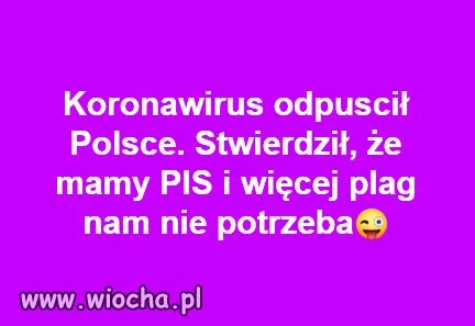 Szach...