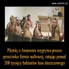 Wolność od cywilizacji .