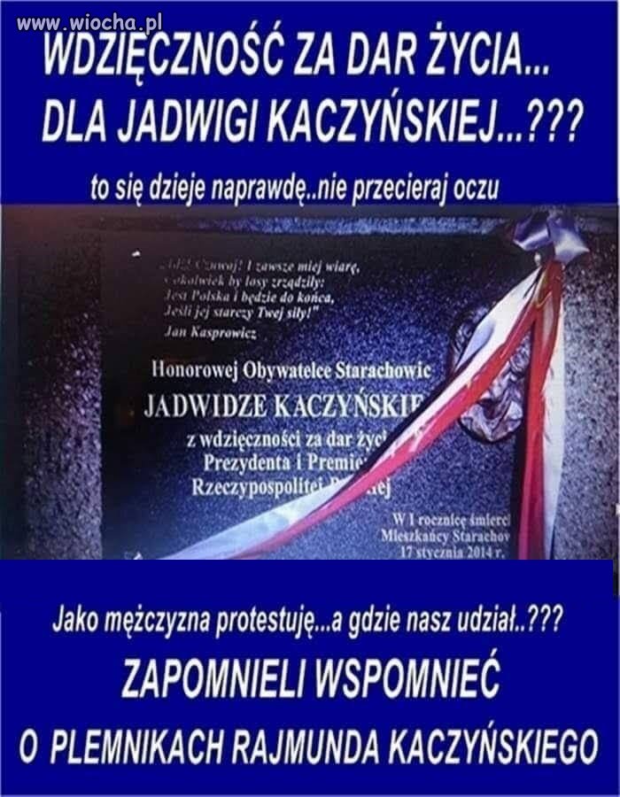 Tak to wygląda