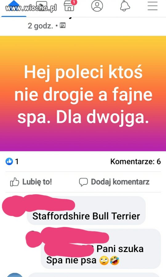 Czytanie