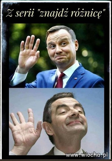 Szukam... szukam...