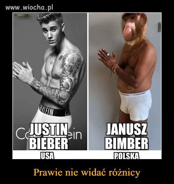 Janusz