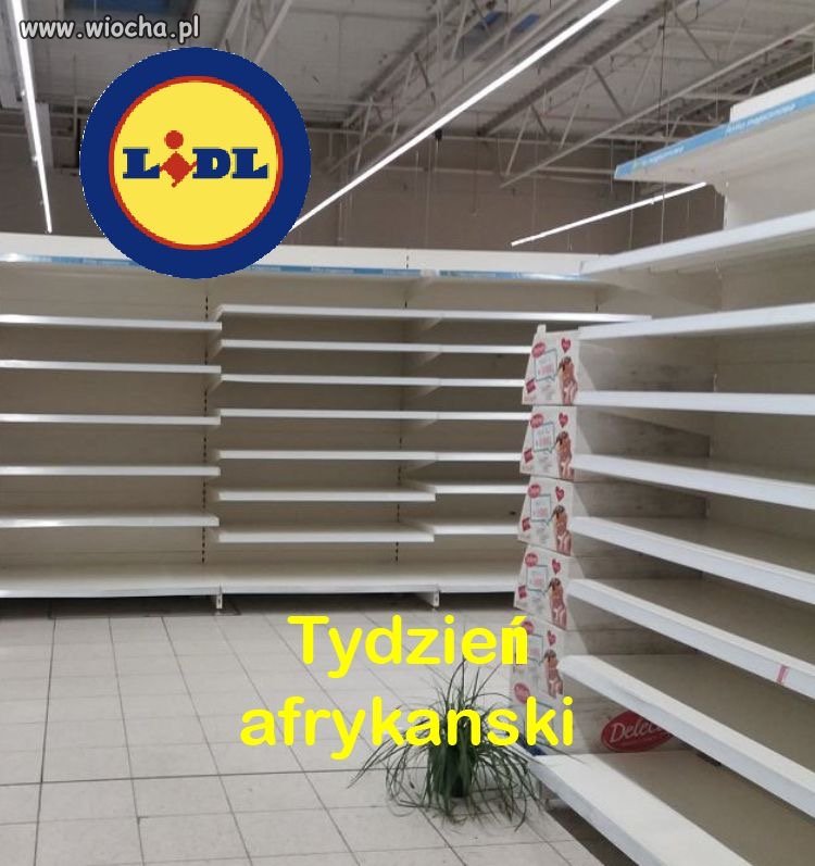 Tydzień afrykański 