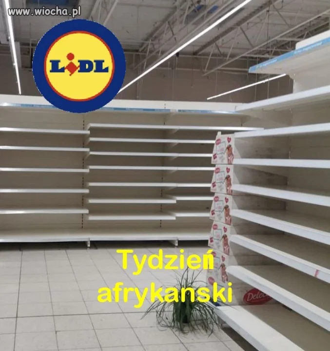 Tydzień afrykański 