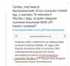 Caritas