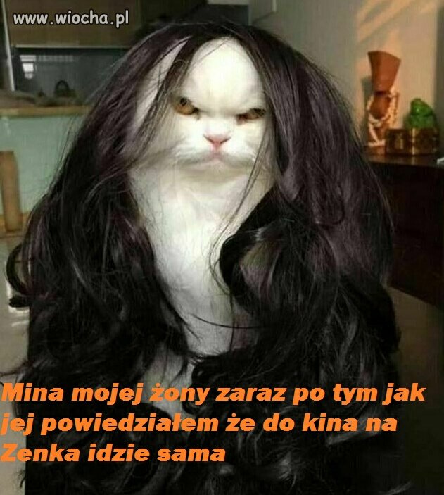 Tak wygląda demokracja w moim domu 