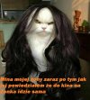 Tak wygląda demokracja w moim domu 