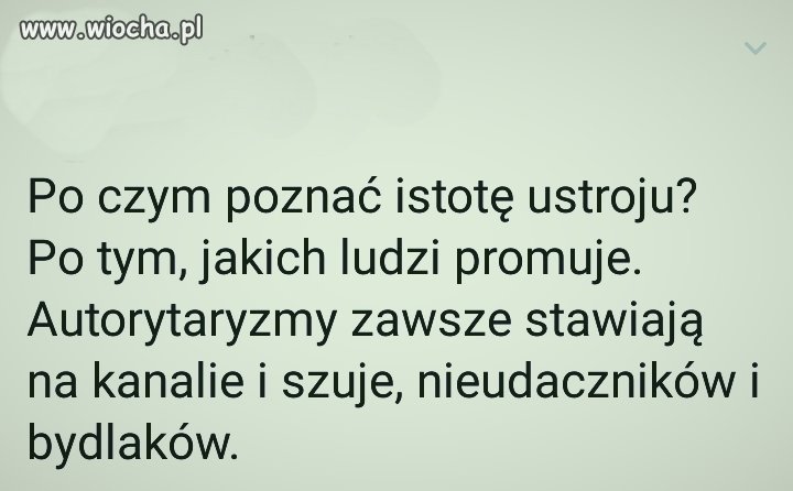 Coś w tym jest