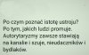 Coś w tym jest