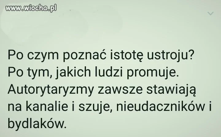 Coś w tym jest