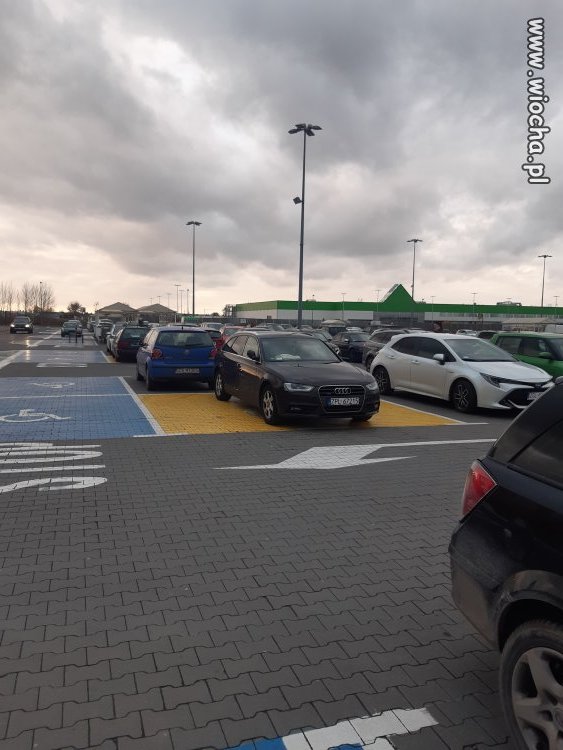 Obywatel lepszego sortu