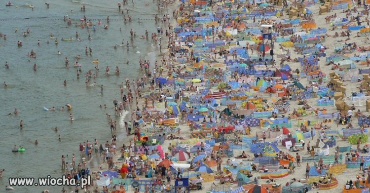 Chcesz wejść na tę plażę? Zapłać.