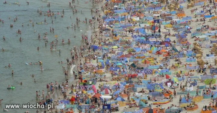 Chcesz wejść na tę plażę? Zapłać.