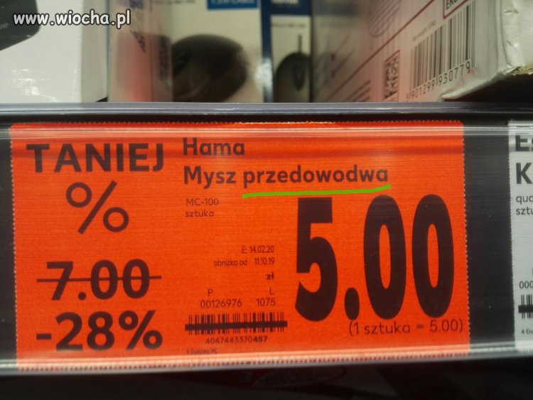 Nowy rodzaj myszy