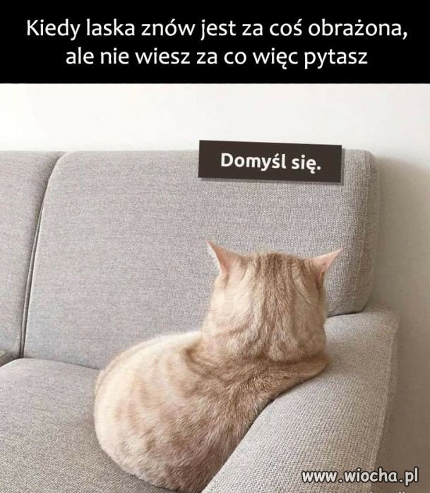 I po walentynkach...