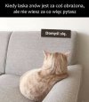 I po walentynkach...
