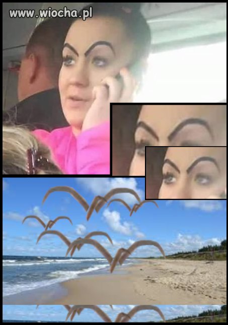 Brwi