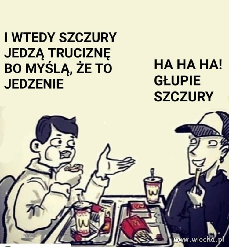 Głupie szczury